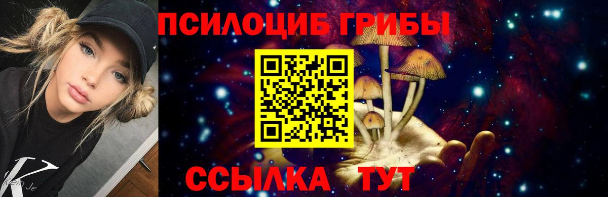 Галлюциногенные грибы Cubensis  Вход с VPN  Полысаево  Галлюциногенные грибы прущие грибы 